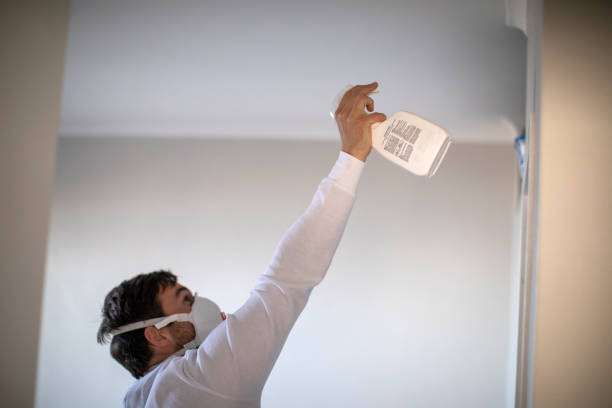 Best Black Mold Removal  in Belle Mead, NJ