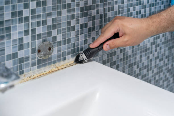 Best Same-Day Mold Removal  in Belle Mead, NJ